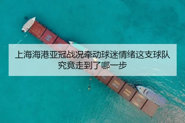 上海海港亚冠战况牵动球迷情绪这支球队究竟走到了哪一步